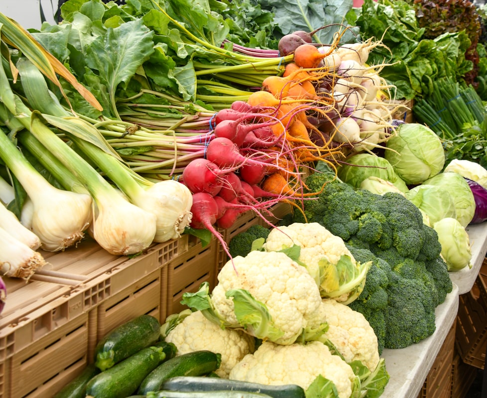 Grain and legume-based Mediterranean dishes